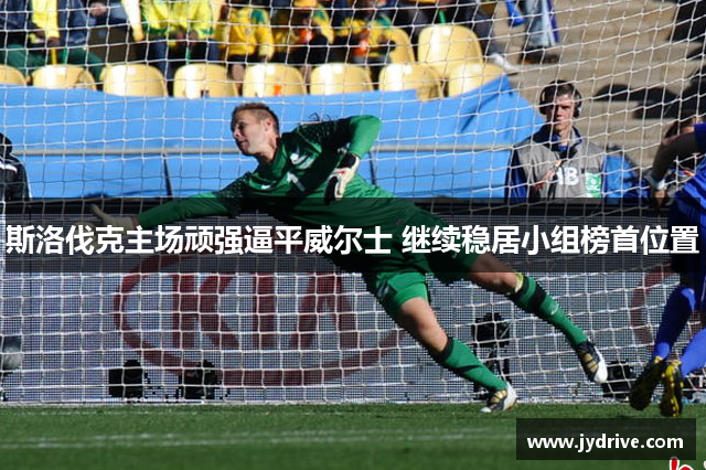 斯洛伐克主场顽强逼平威尔士 继续稳居小组榜首位置